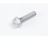 Skrutka mechu BPW M16x65