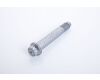 Šroub k brzdovému kotouči SAF INTEGRAL M12x75 G12.9 torx