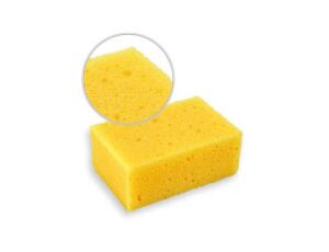 Mycí houba mořská