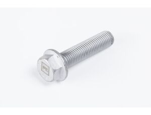 Skrutka mechu BPW M16x65