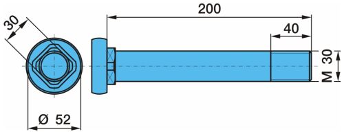 Čap pera M30x200 hlava 52mm